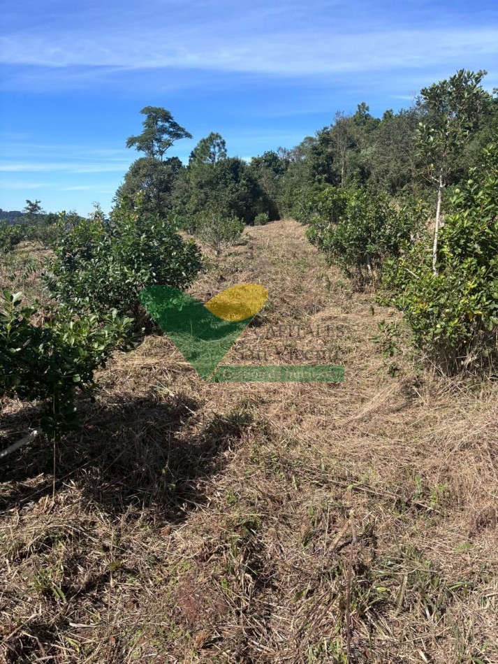 CHACRA 25 HECTAREAS