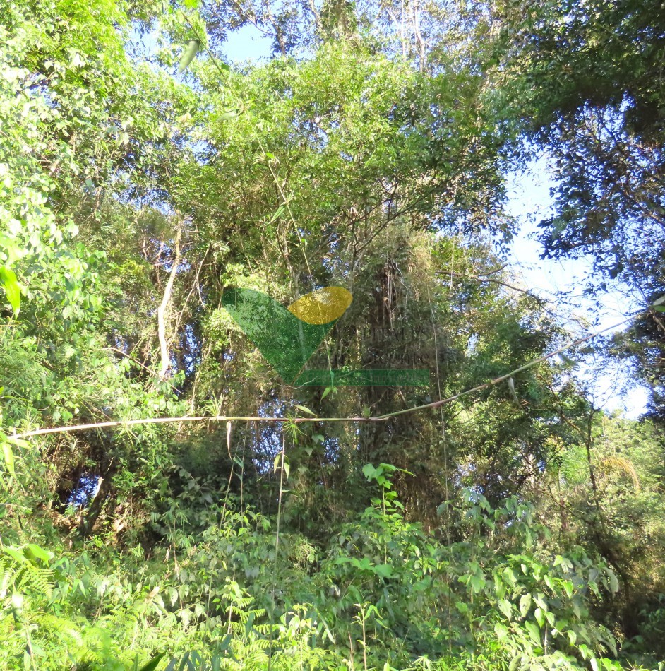 Chacra en el Soberbio Mnes