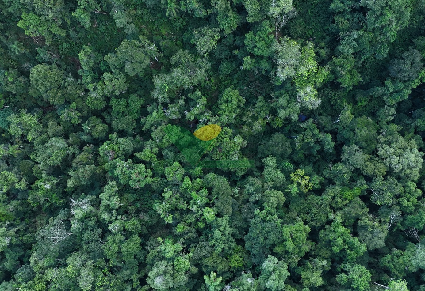 Chacra de 41 Hectareas en Pozo Azul
