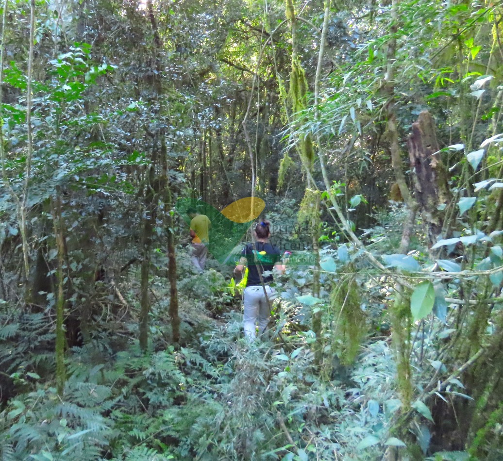 Chacra en el Soberbio Mnes