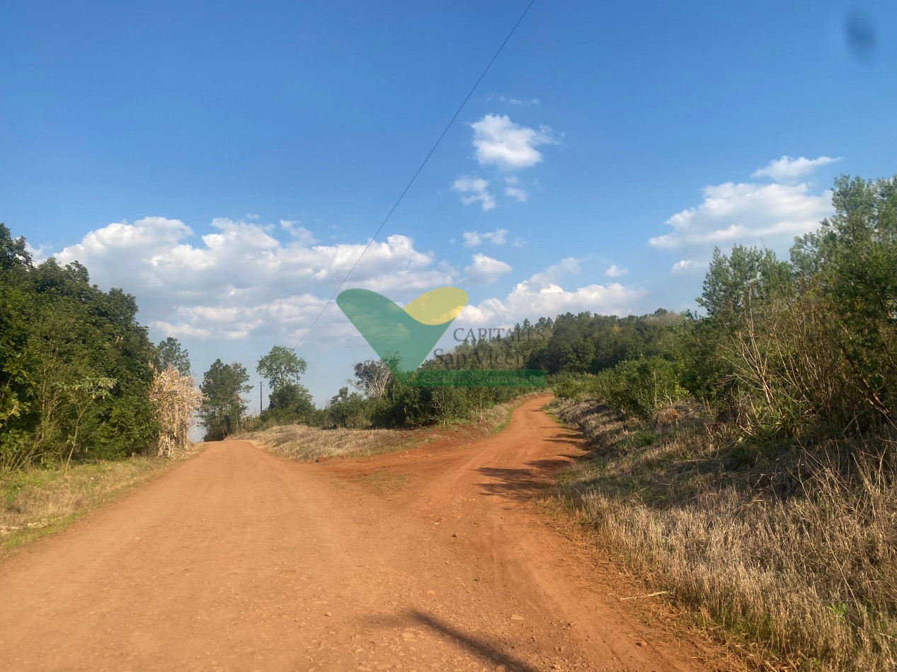 CHACRA 25 HECTAREAS
