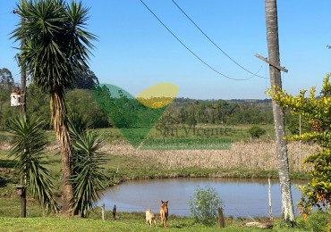 CHACRA 22 HECTAREAS