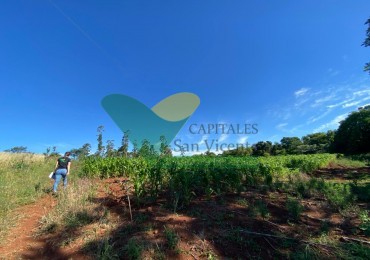 CHACRA 20 HA, PARAJE EL DORADITO